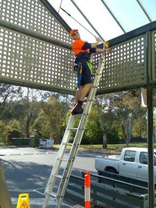 Professional Window Cleaners